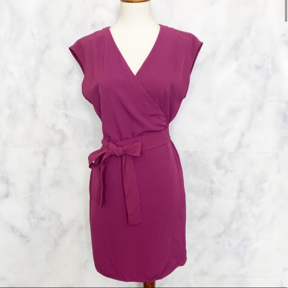 Everlane Japanese GoWeave Short-Sleeve Wrap Dress
